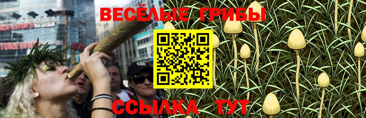 Галлюциногенные грибы ЛСД Курган