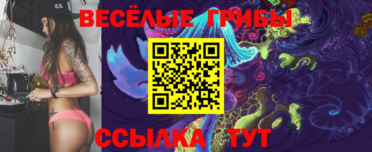 Курган  Галлюциногенные грибы Cubensis  Псилоцибиновые грибы MAGIC MUSHROOMS  где купить наркоту  Вход с VPN 