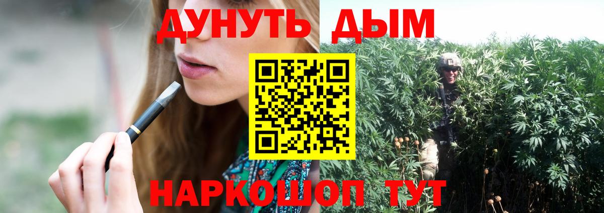 Канабис планчик  Канабис OG Kush  Вход с VPN  Курган 
